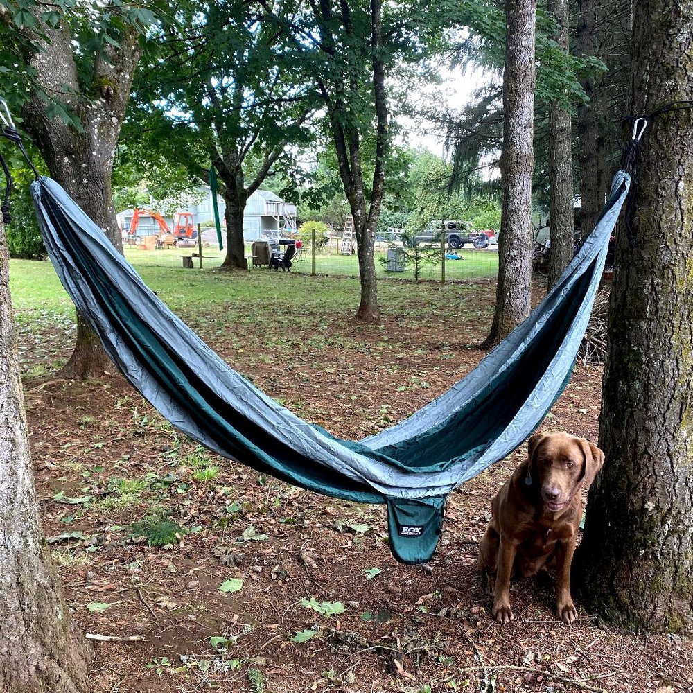 Fox Outfitters Single Green/Silver Hammock